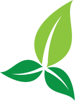 eco Logo mit zwei stilisierten Blättern in verschiedenen Grüntönen.